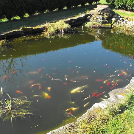 Modern With Pool In Phalsbourg